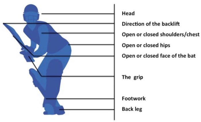 Cricket batting techniques