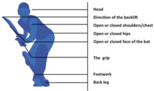 Cricket batting techniques